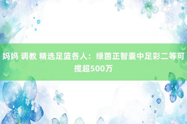 妈妈 调教 精选足篮各人：绿茵正智囊中足彩二等可揽超500万