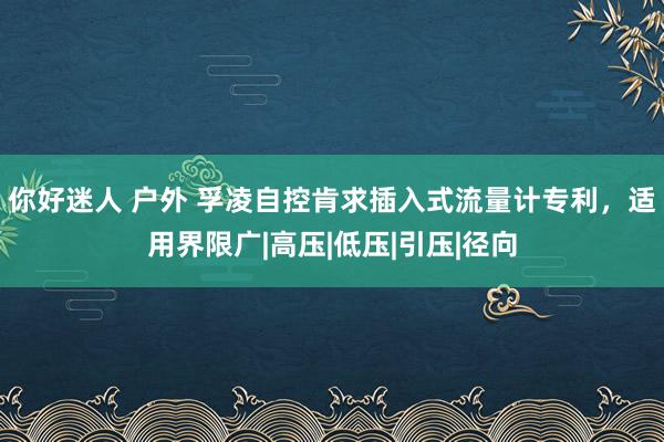 你好迷人 户外 孚凌自控肯求插入式流量计专利，适用界限广|高压|低压|引压|径向