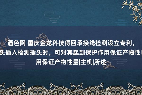 酒色网 重庆金龙科技得回承接线检测设立专利，在承接线插头插入检测插头时，可对其起到保护作用保证产物性量|主机|所述