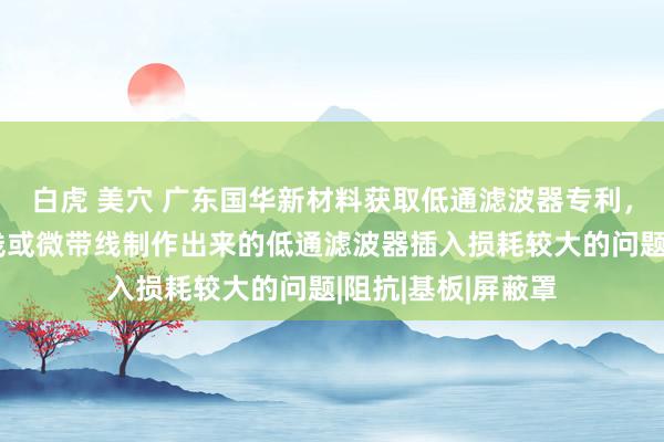 白虎 美穴 广东国华新材料获取低通滤波器专利，科罚现存的带状线或微带线制作出来的低通滤波器插入损耗较大的问题|阻抗|基板|屏蔽罩